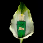 Hamsat Gharam by Maison Asrar 100ml - Parfum arabesc original import Dubai inspirat din Supreme Bouquet Yves Saint Laurent - imagine 5